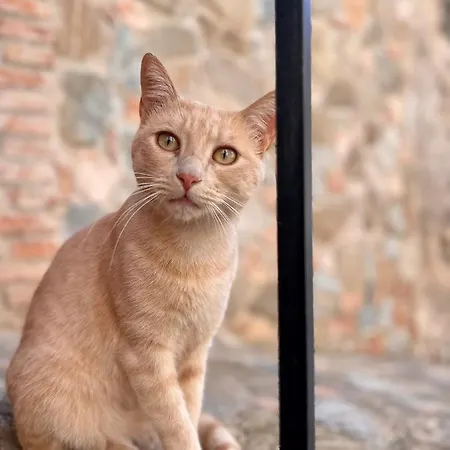 La Magara 4* צ'יוויטה